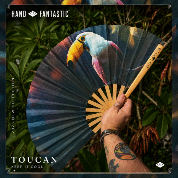 Toucan